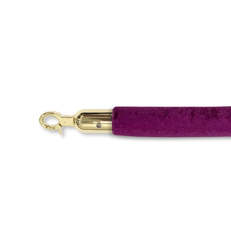 Vic Crowd Control VIP Crowd Control  72 in. Velour Closable Hooks, Purple & Gold 1643